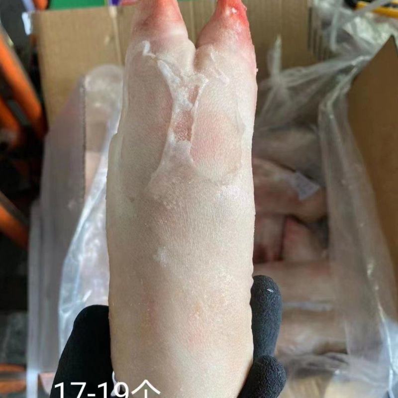 前蹄带筋前蹄冻住产品新货现货秒发
