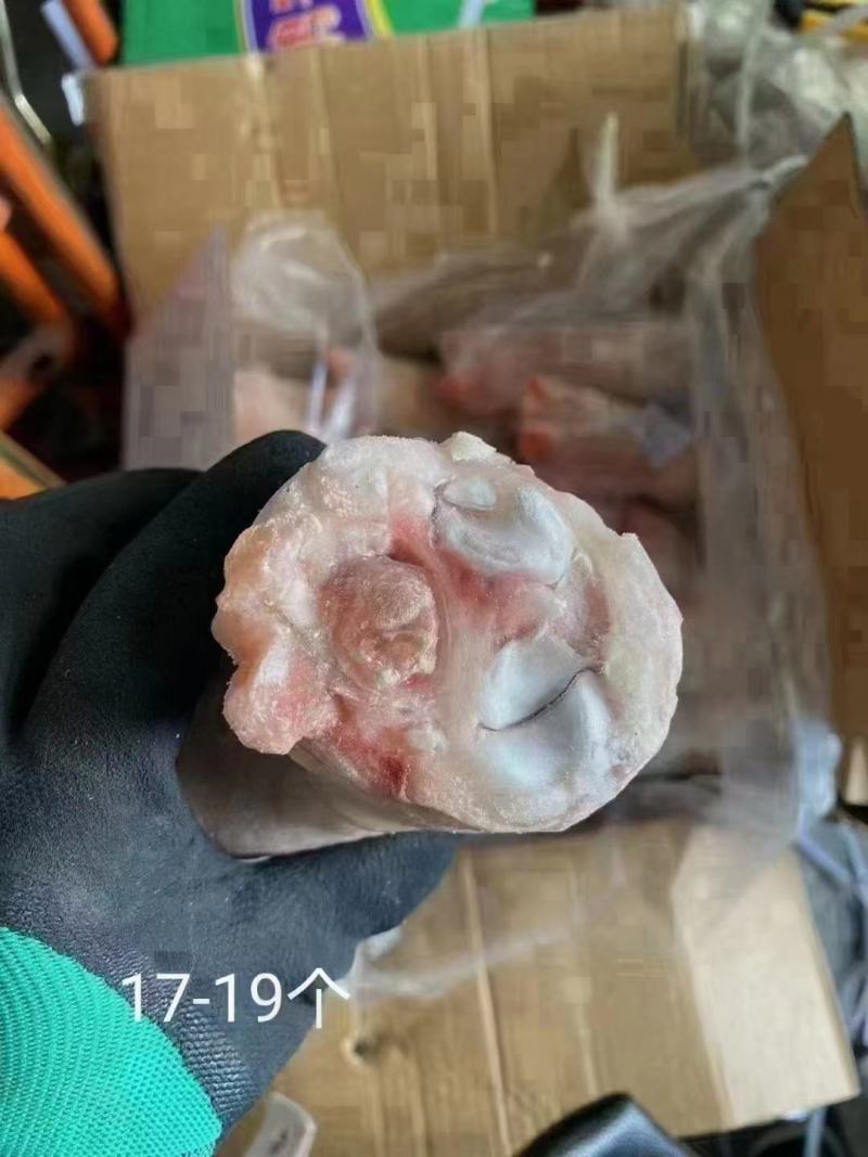 前蹄带筋前蹄冻住产品新货现货秒发