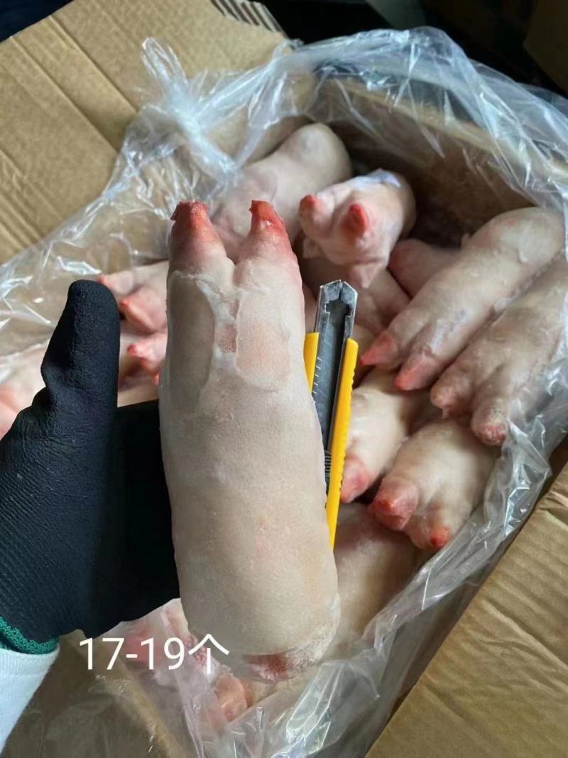 前蹄带筋前蹄冻住产品新货现货秒发
