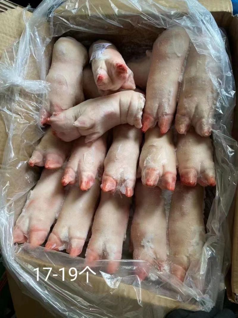 前蹄带筋前蹄冻住产品新货现货秒发