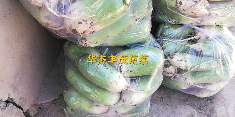 青萝卜，皮绿无裂口，供应市场，电商，超市，产地批发