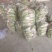 青萝卜，皮绿无裂口，供应市场，电商，超市，产地批发