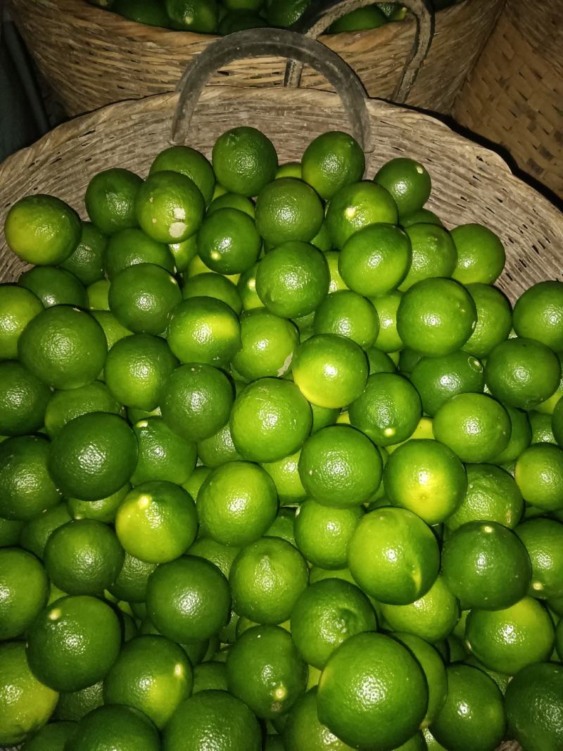 柠檬