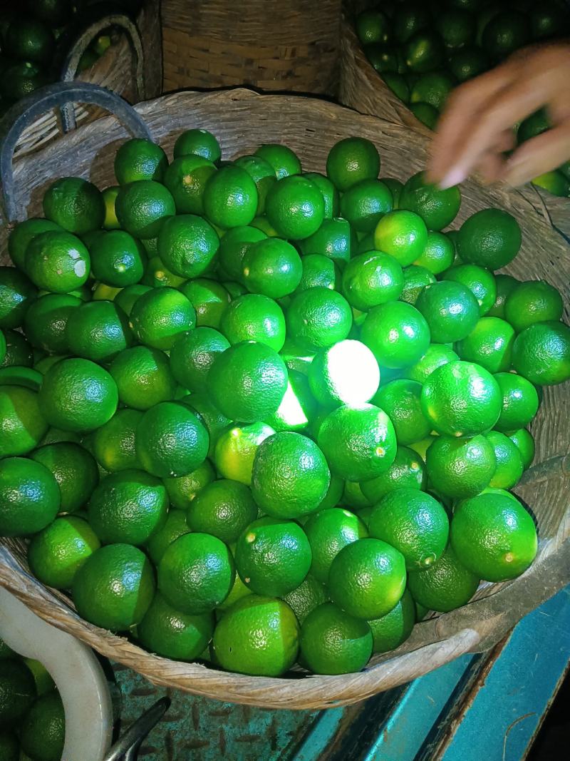 柠檬