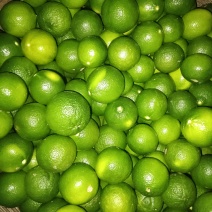 柠檬