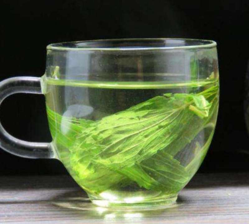 甜叶菊茶用甜叶菊茶大量供应量大从优一件代发