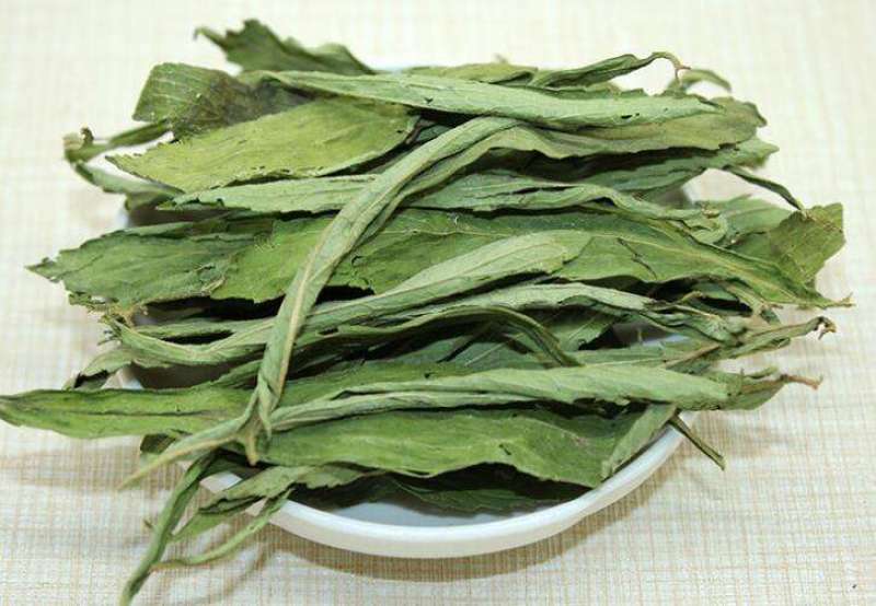 甜叶菊茶用甜叶菊茶大量供应量大从优一件代发