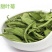甜叶菊茶用甜叶菊茶大量供应量大从优一件代发
