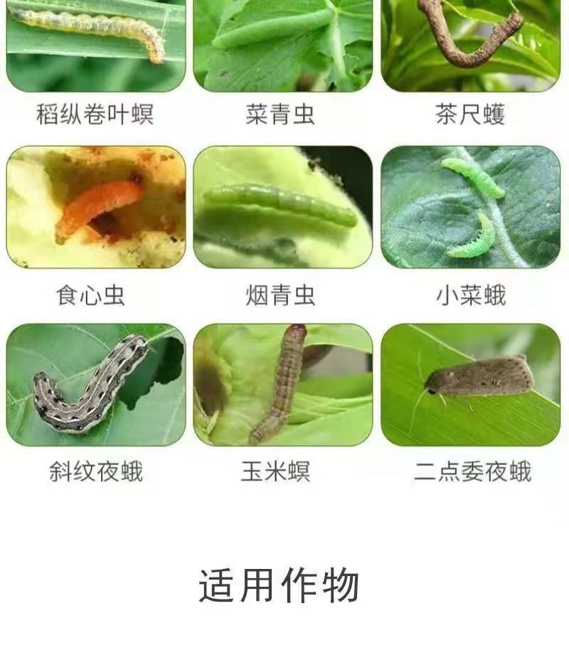 沪联虫螨腈茚虫威杀虫剂菜青虫斜纹夜蛾卷叶螟钻心虫农药
