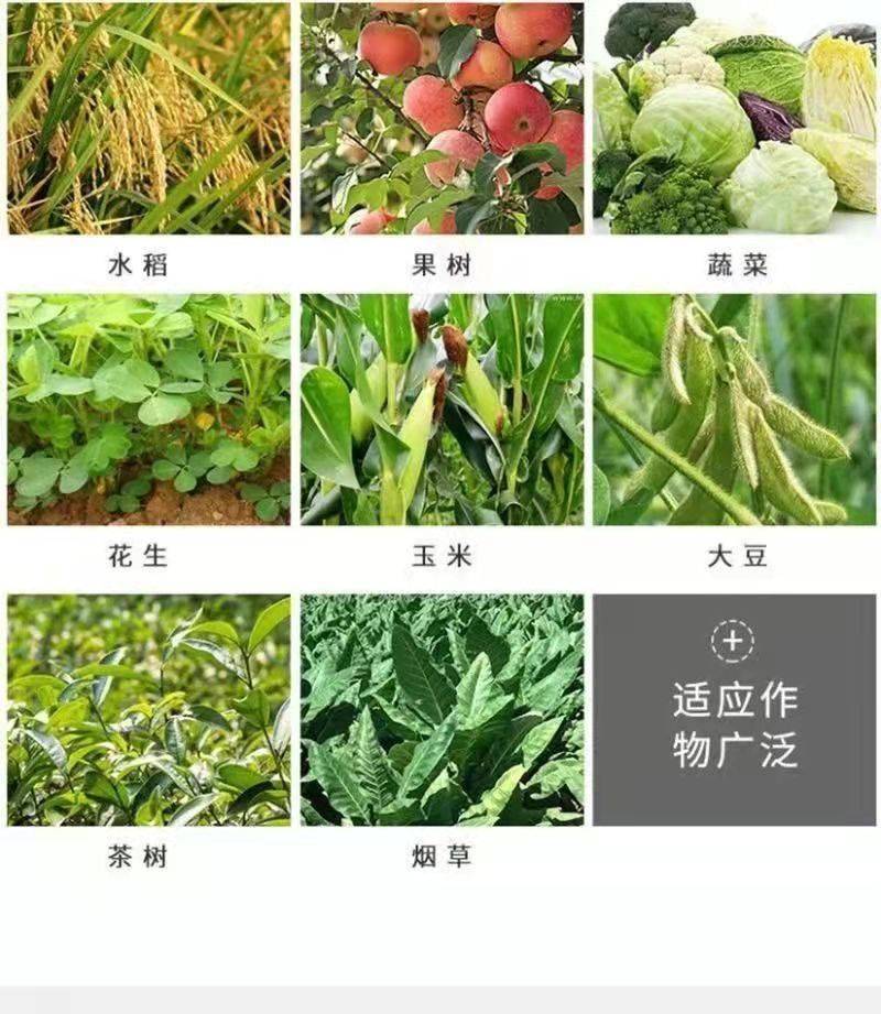 沪联虫螨腈茚虫威杀虫剂菜青虫斜纹夜蛾卷叶螟钻心虫农药