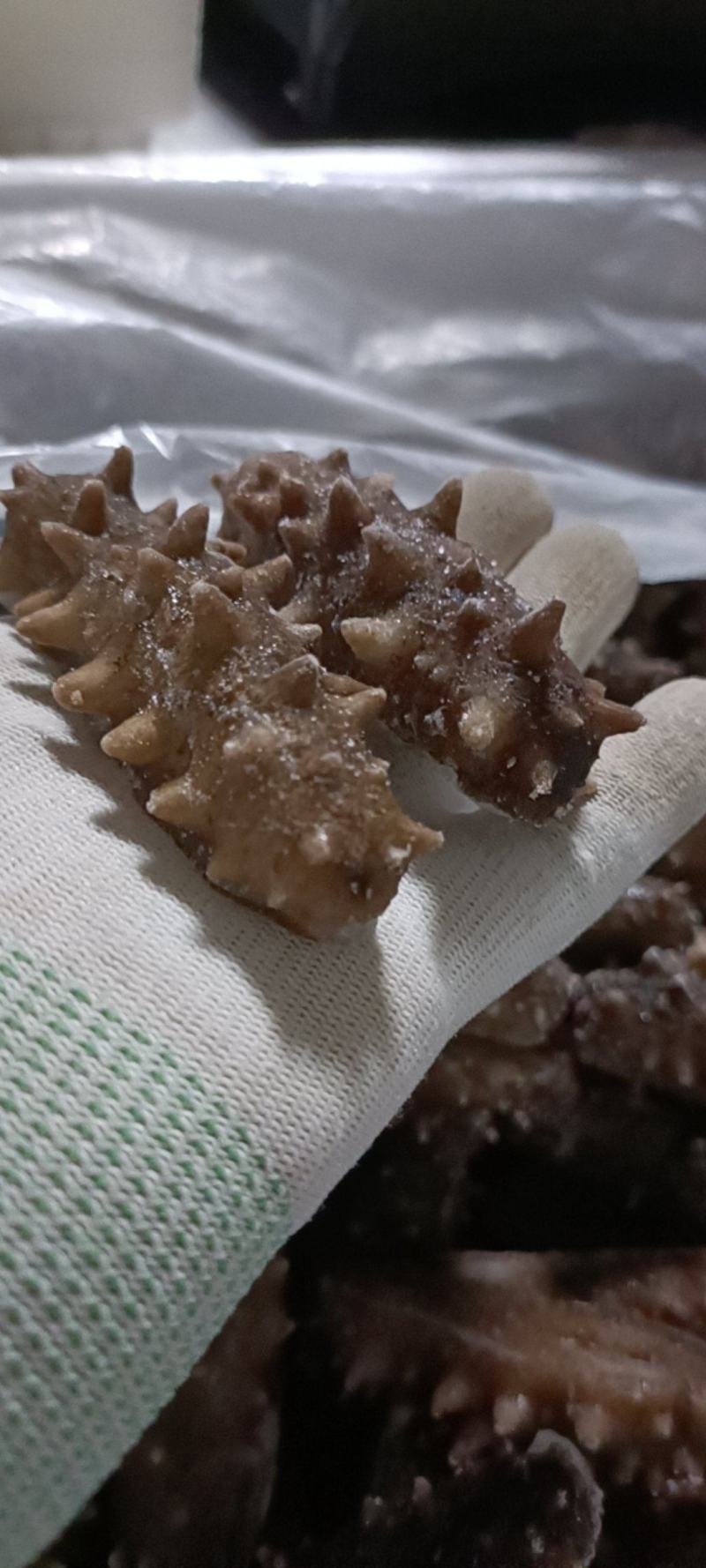 做复购率海参