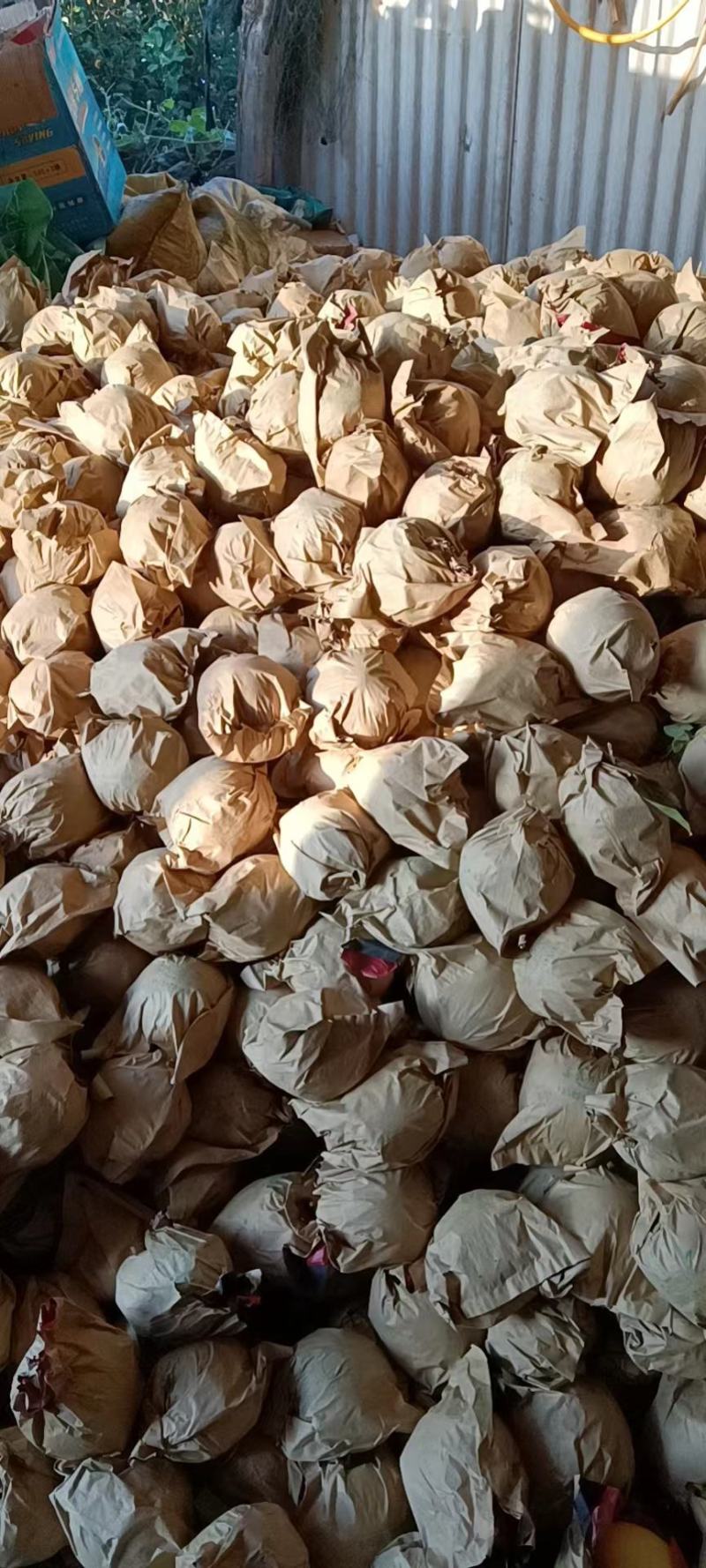 黄元帅（套袋）自然成熟保证质量产地现摘