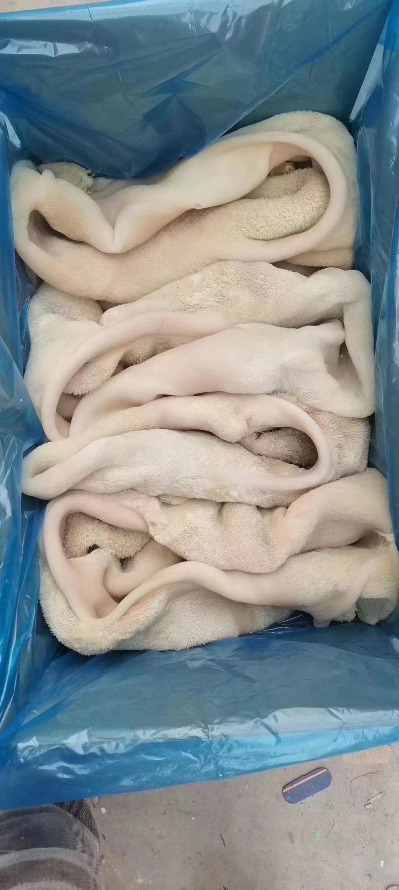 国产全熟牛肚，一件三十斤批发零售量大从优