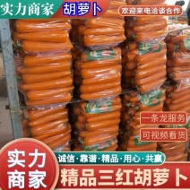 胡萝卜供应档口，电商，社区团购，外贸加工，质量保证