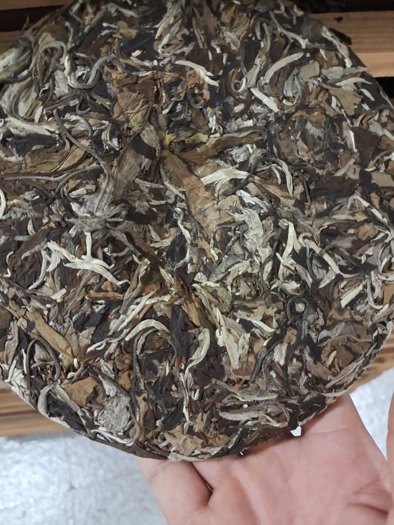 老白茶.月光白.月光美人，云南普洱景谷大叶种357g包邮