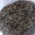 老白茶.月光白.月光美人，云南普洱景谷大叶种357g包邮