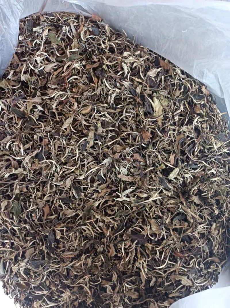 老白茶.月光白.月光美人，云南普洱景谷大叶种357g包邮