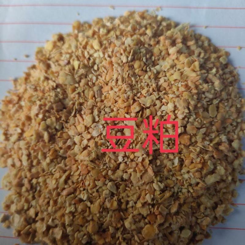 龙口豆粕蛋白43