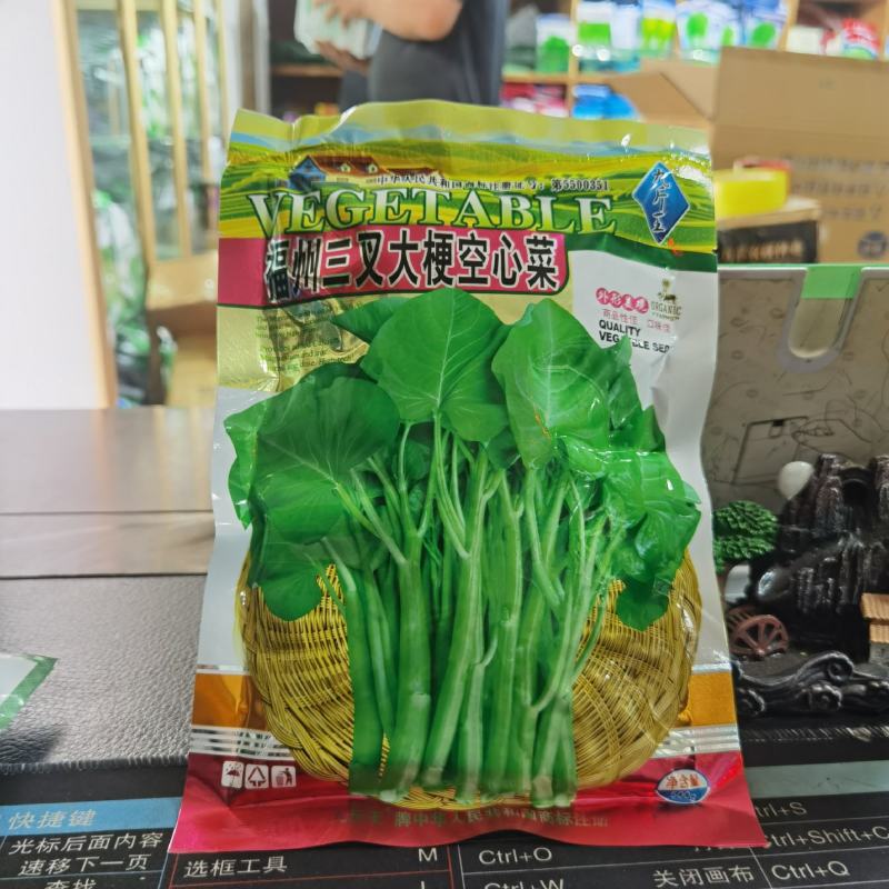 福州三叉大梗空心菜种子1斤大叶空心菜种籽旱地水地栽培农户