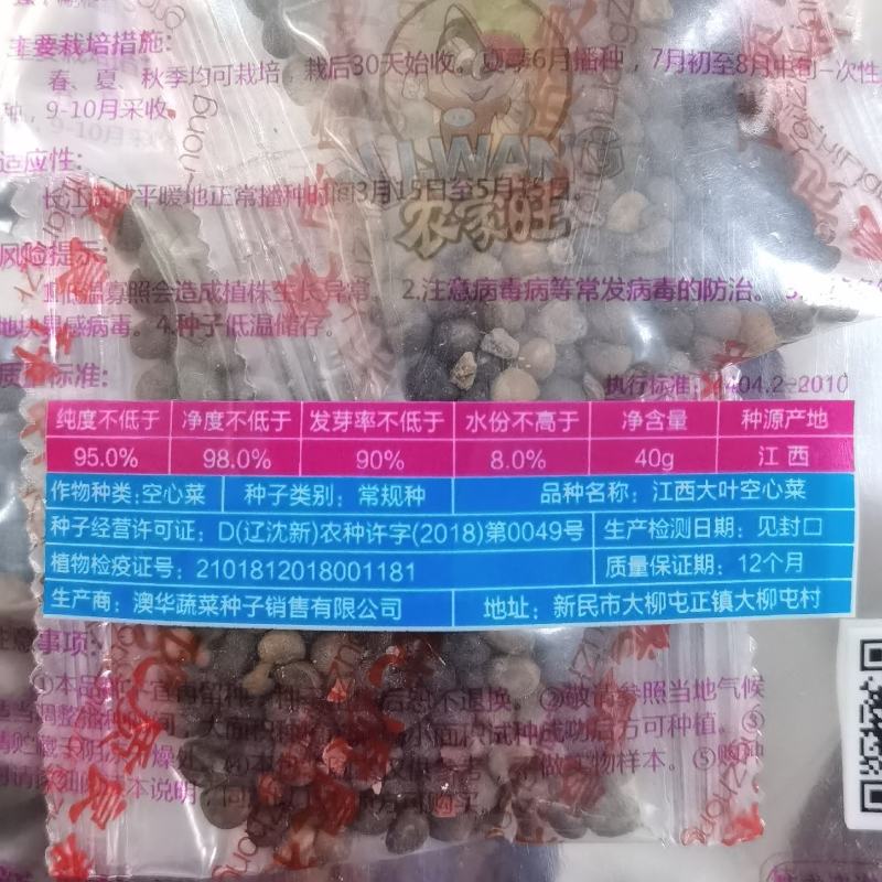 福州三叉大梗空心菜种子1斤大叶空心菜种籽旱地水地栽培农户