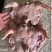 【熟食羊头】内蒙全熟去骨大白头肉花头