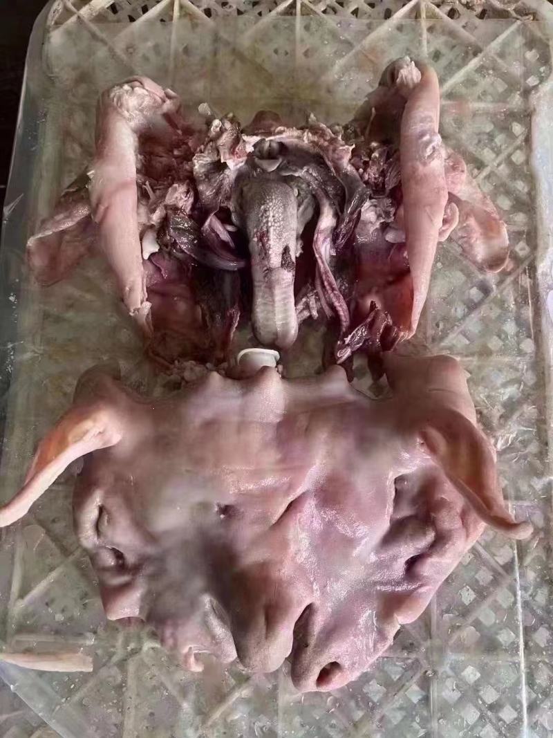 【熟食羊头】内蒙全熟去骨大白头肉花头