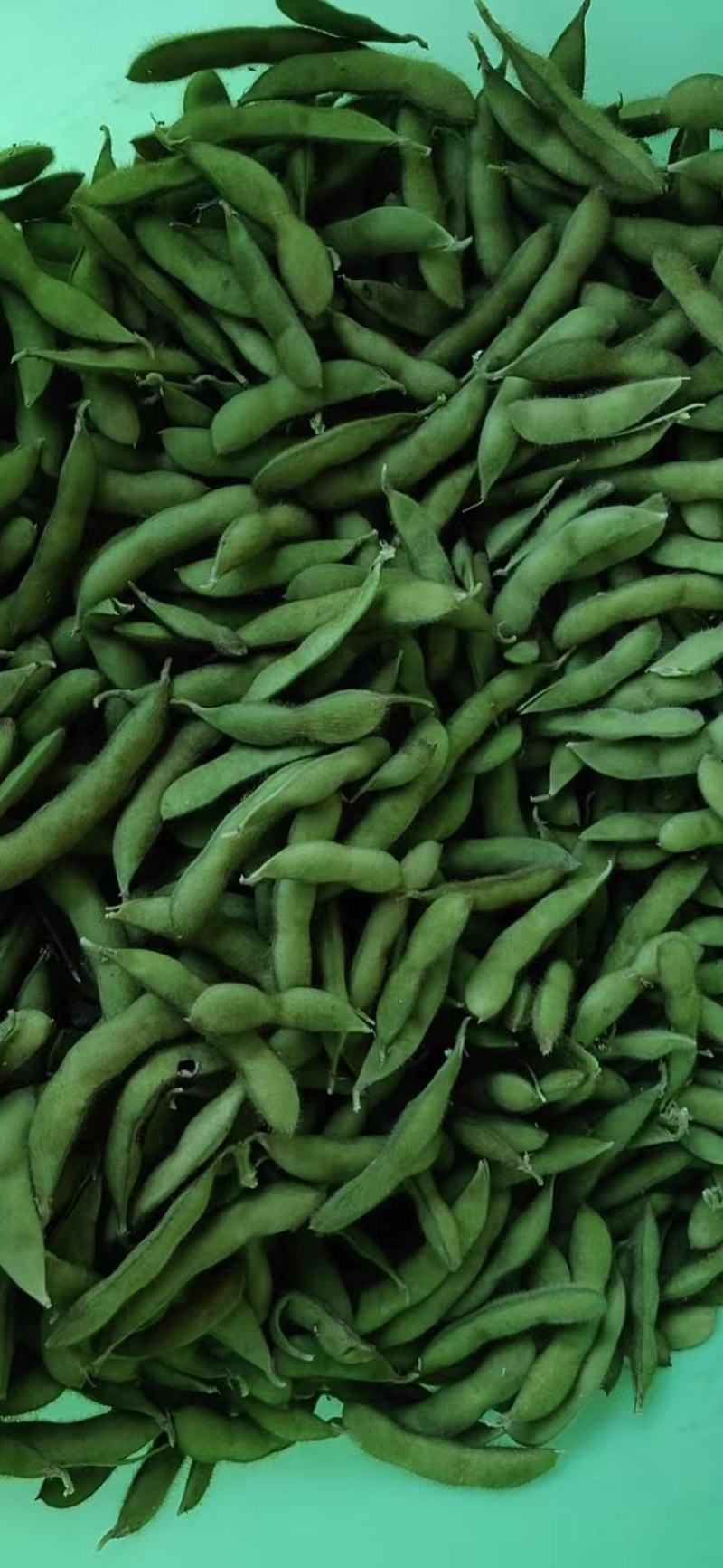 绿毛豆、青毛豆、鲜毛豆