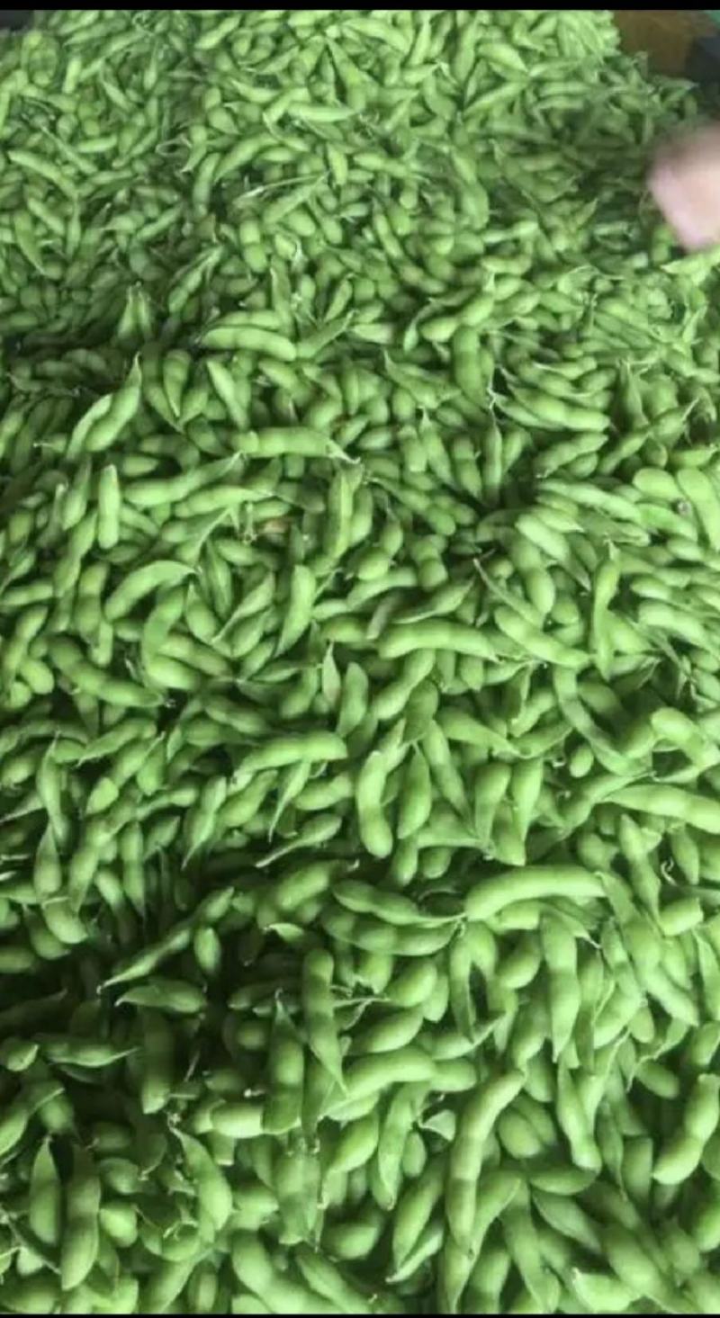 毛豆