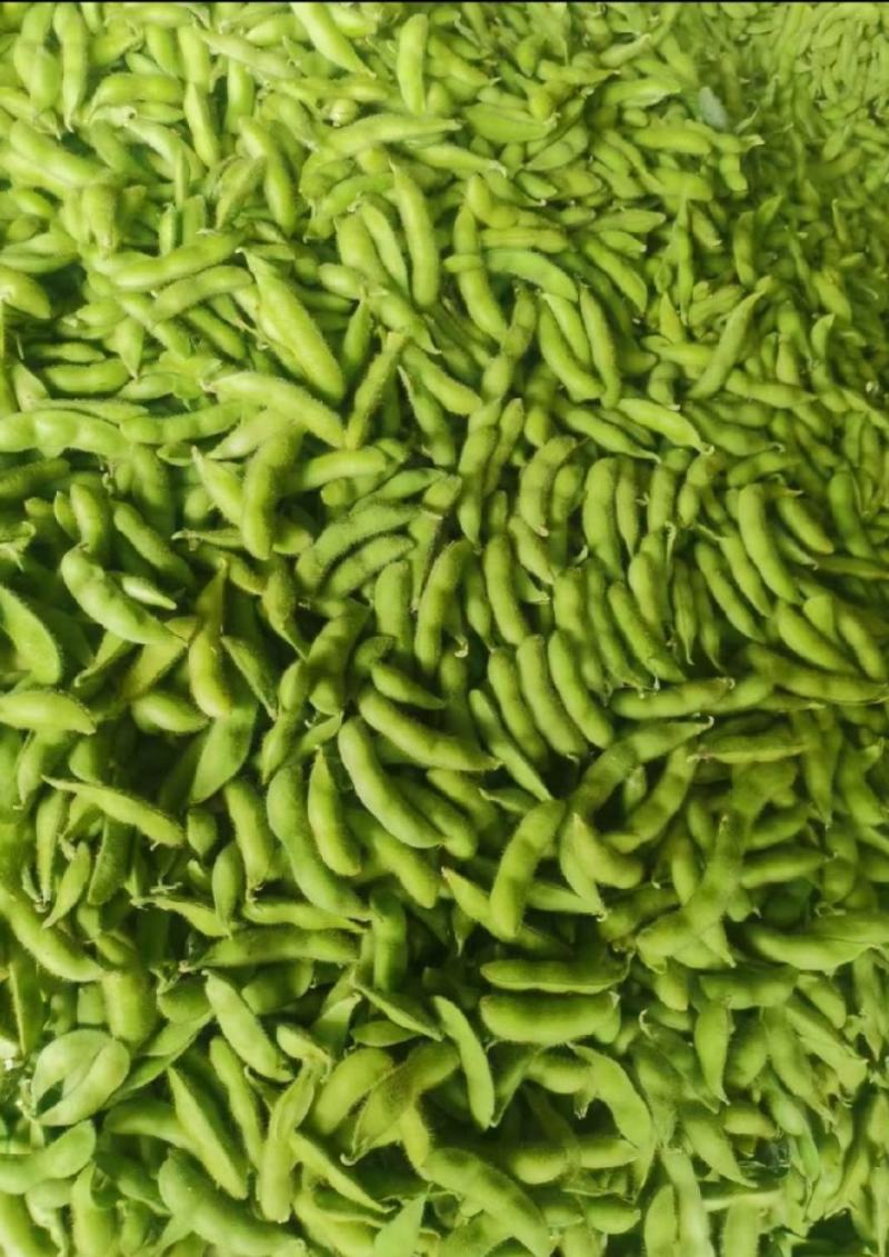 毛豆