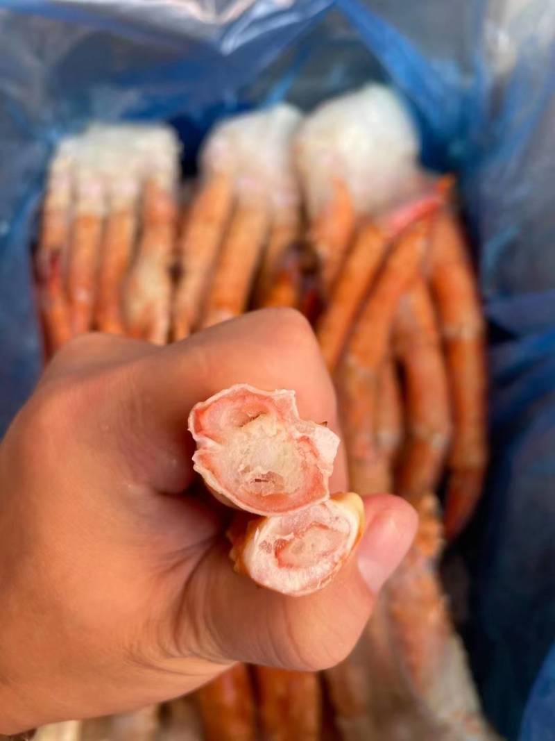 俄罗斯冷冻帝王蟹腿鲜活熟冻满肉螃蟹帝皇蟹长脚蟹