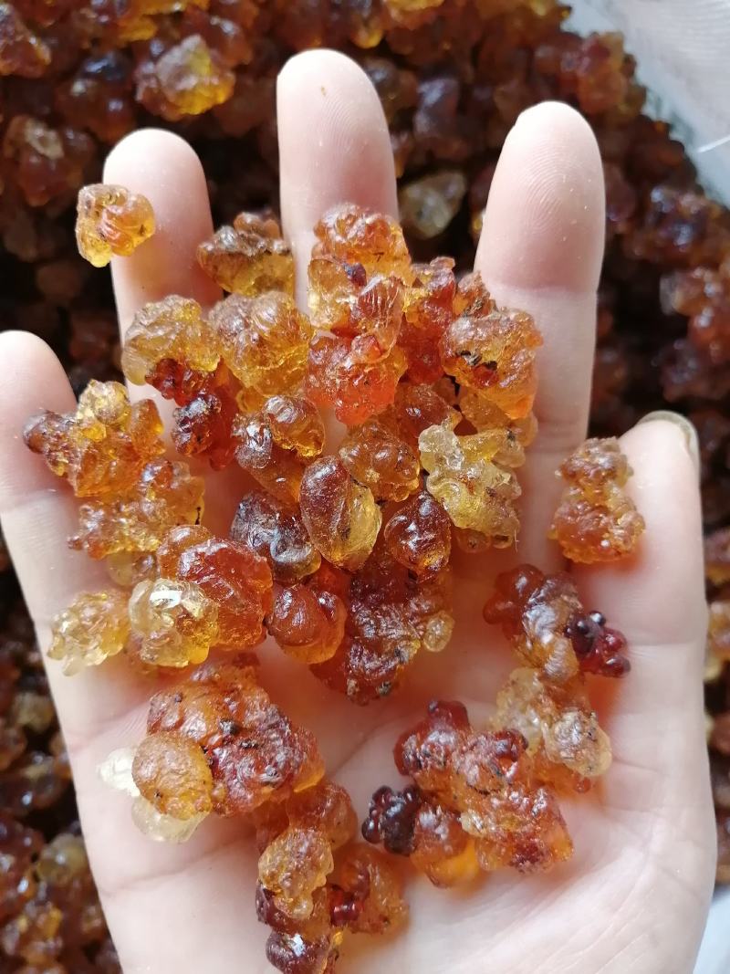 《限量清仓》湖北随州大产地桃胶，500克一袋，量大可优惠