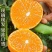 【牛商推荐】爱媛38果冻橙皮薄多汁果园现采果面干净品质保