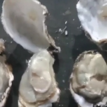 产地直供，规格齐全，货源充足，价美物廉。