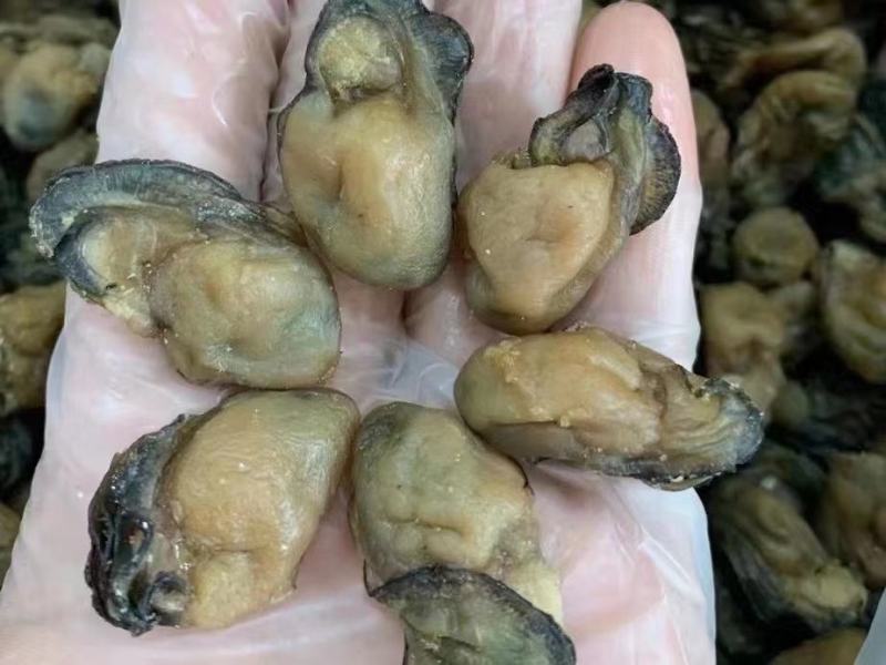 精品生蚝干大量上市产地直发规格齐全保质保量量大优惠