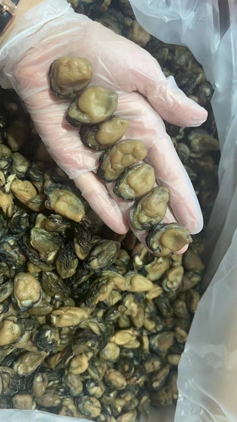 精品生蚝干大量上市产地直发规格齐全保质保量量大优惠