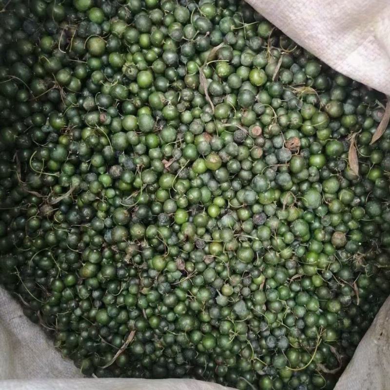 鸡头黄精种子鲜果倒苗品种发芽率高刚采摘的带皮鲜果青皮