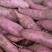 精品商薯19红薯商超品质沙地货3两以上商品薯通货都有