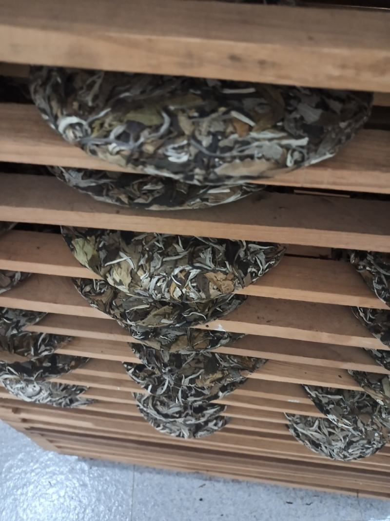老白茶.月光白.月光美人，云南普洱景谷大叶种357g包邮