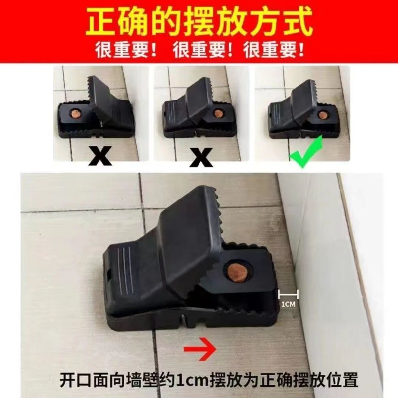 老鼠克星