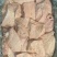 奶渣