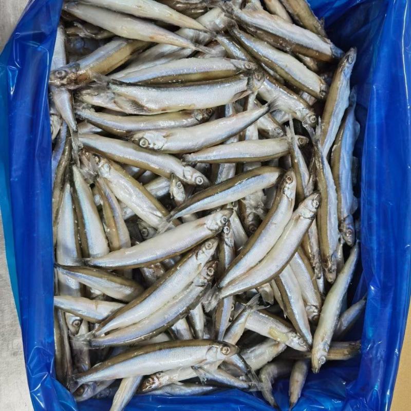 多春鱼10斤全母多春鱼满籽工厂直供，量大询价