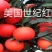 时尚果树苗黄桃纽荷尔脐橙沃柑美国世纪红鑫甜南丰粗壮结果快