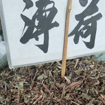 薄荷