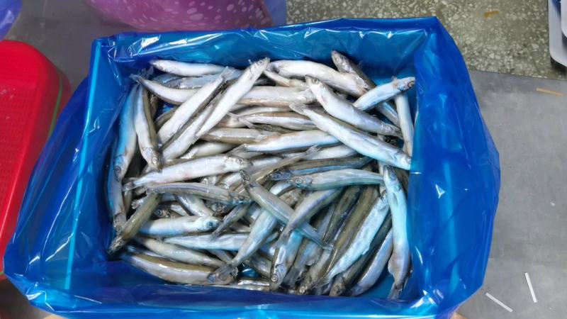 多春鱼10斤全母多春鱼满籽工厂直供，量大询价