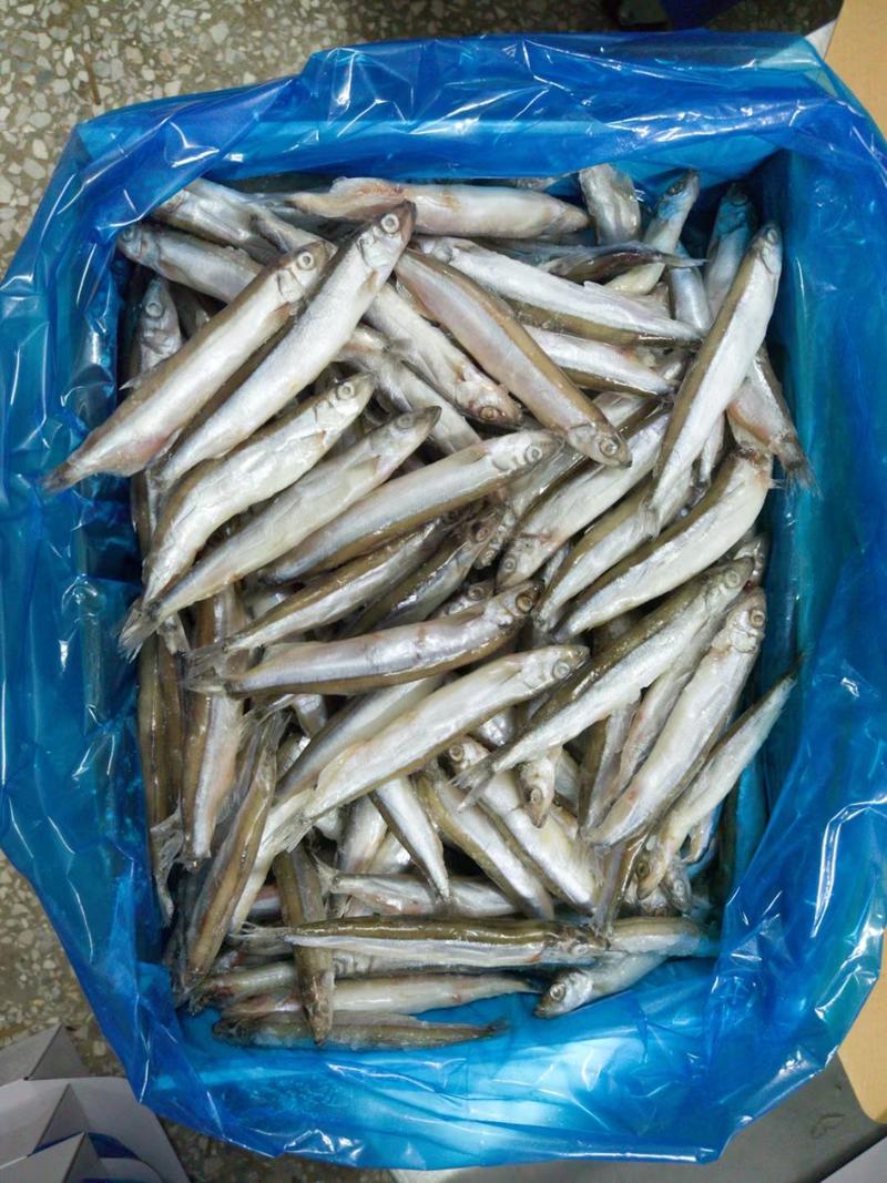 多春鱼10斤全母多春鱼满籽工厂直供，量大询价
