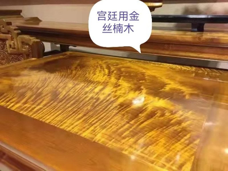 名贵树苗绿化苗金丝楠木荷木枫香赤皮青冈油松杉现取现买