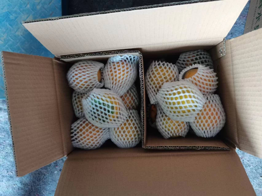 一箱新鲜采摘的脆柿被打开的场景