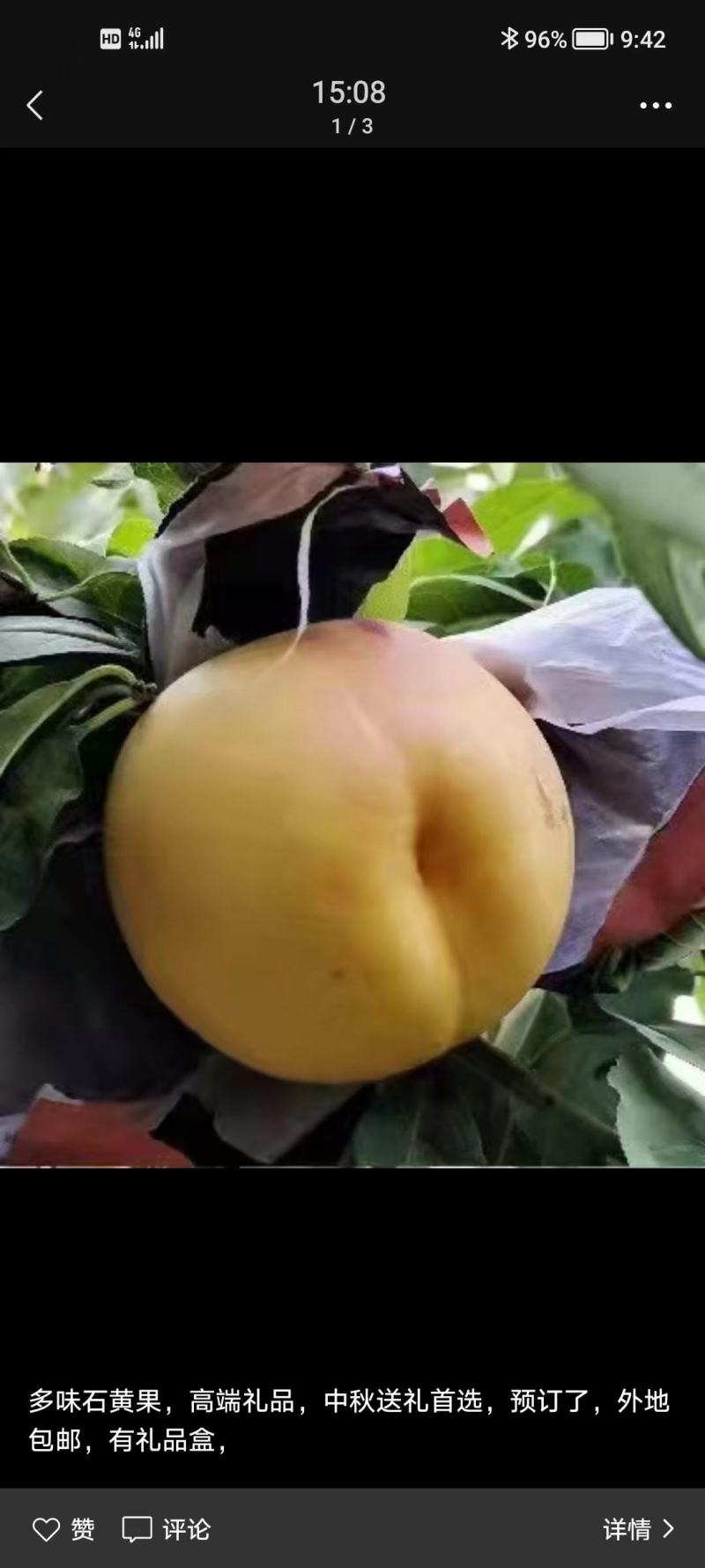 石黄果