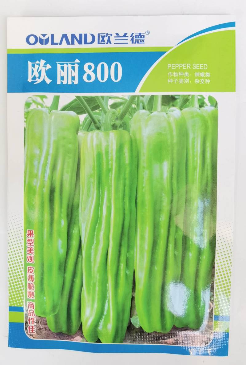欧兰德欧丽800薄皮泡椒种子大果皱皮黄绿皮薄皮泡椒种子