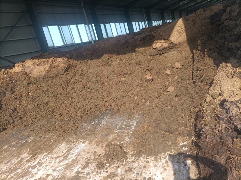 纯羊粪，养殖基地直发，自动化养殖基地